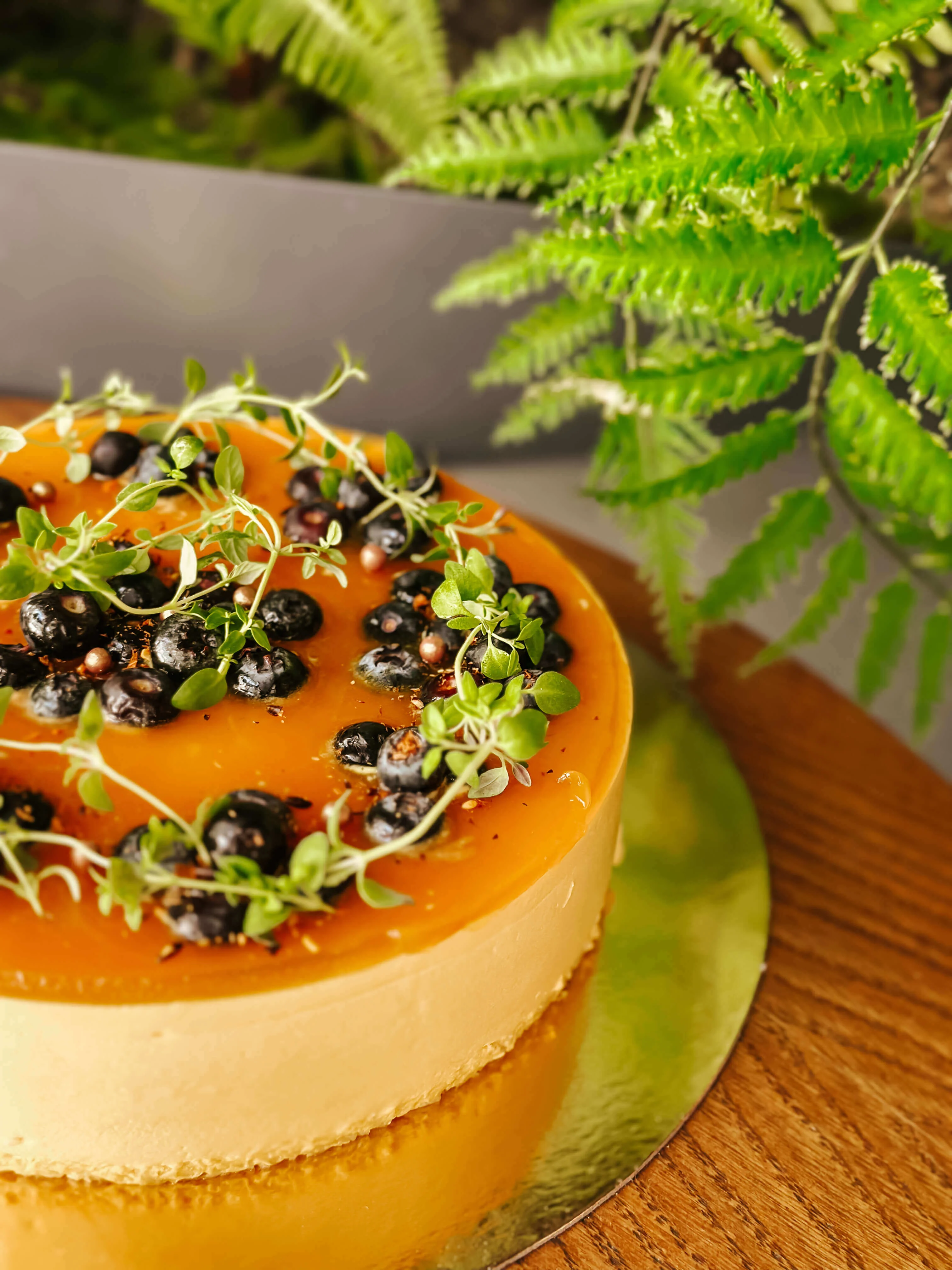 TELLI OMA LEMMIK MEILT