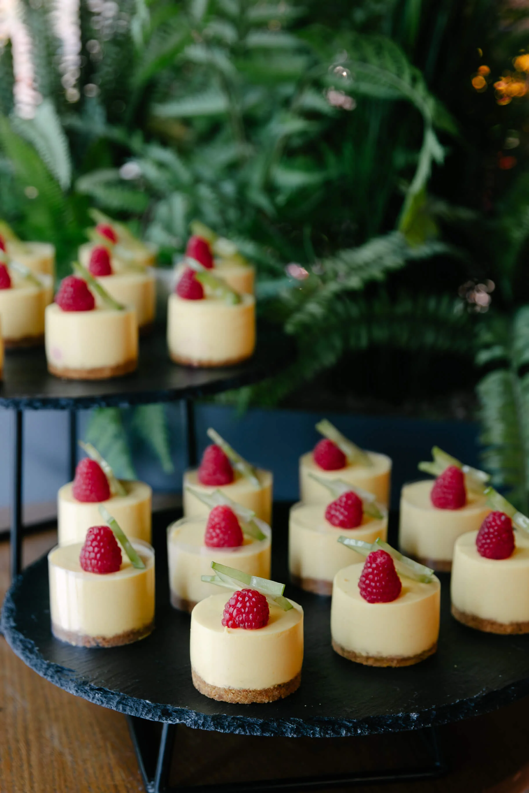 TELLI OMA LEMMIK MEILT